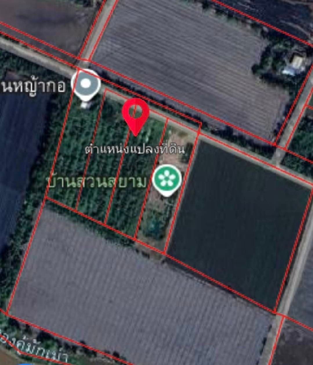 ขายที่ดินเปล่า 2 ไร่ 1 งาน 81.9 ตร.วา ต.คู้สลอด อ.ลาดบัวหลวง จ.อยุธยา ขายที่ดินเปล่า 2 ไร่ 1 งาน 81.9 ตร.วา ต.คู้สลอด อ.ลาดบัวหลวง จ.อยุธยา
