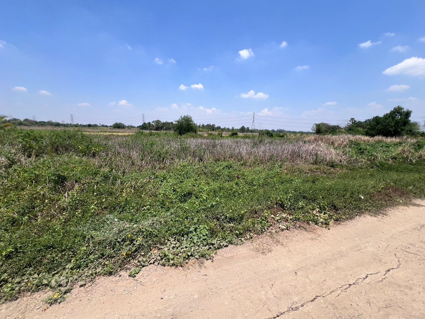 BL28 ขาย ที่ดิน คลองสิบสอง หนองจอก #ที่ดินเปล่ายังไม่ถม #ที่ดินริมถนนในซอยคลองจักร11 #ที่ดินหนองจอก – รูปที่ 3