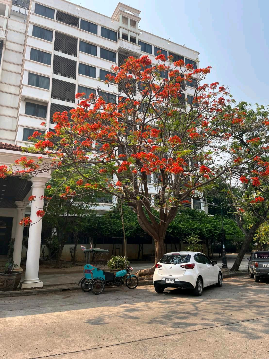 ทำเลใจกลางเมืองพิจิตรมีศักยภาพสูง – รูปที่ 4