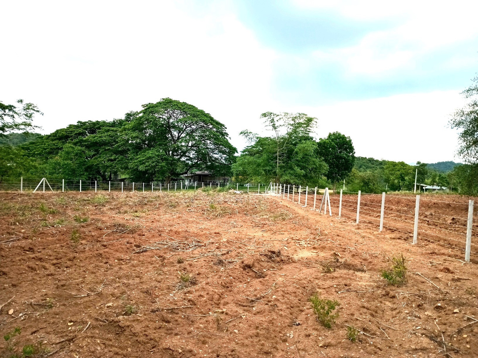 1 ไร่ โฉนดครุฑแดง ที่ดิน มวกเหล็ก สระบุรี – รูปที่ 3