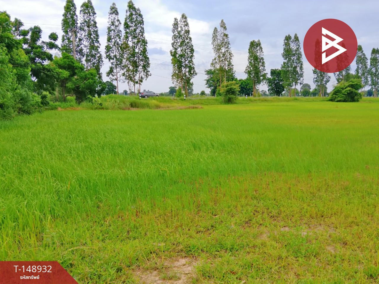Land for sale, area 2 rai 86 square wah, Ka Ko, Surin. – รูปที่ 4