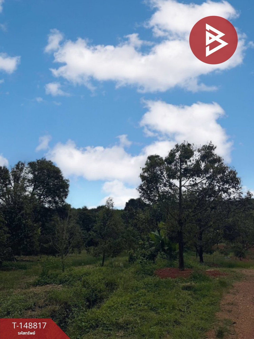 ขายที่ดิน เนื้อที่ 46 ไร่ 1 งาน 5 ตร.วา สอยดาว จันทบุรี – รูปที่ 2