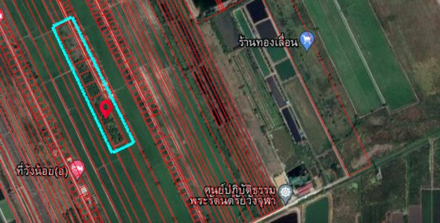 Land for sale in Wang Noi, Ayutthaya (1 rai and 4 rai), green city plan. Next to the concrete road, Soi Wangchula 8, near Phahon Yothin, good location, suitable for building a warehouse, office, house, cheapest price in the area! – รูปที่ 2