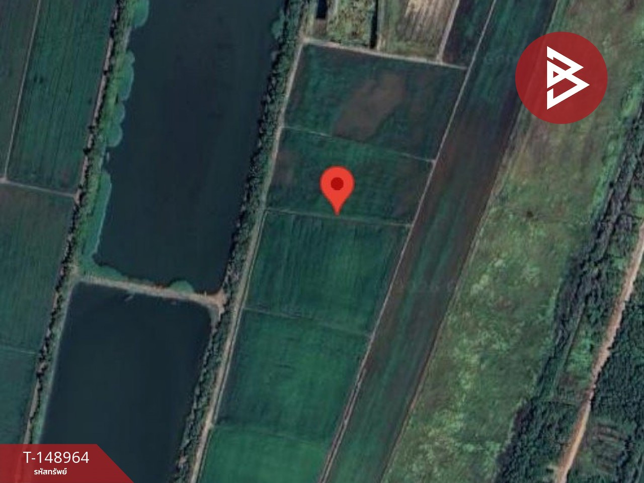 Large plot of land for sale, area 13 rai 99 square wa, Ratchasan District, Chachoengsao. – รูปที่ 4