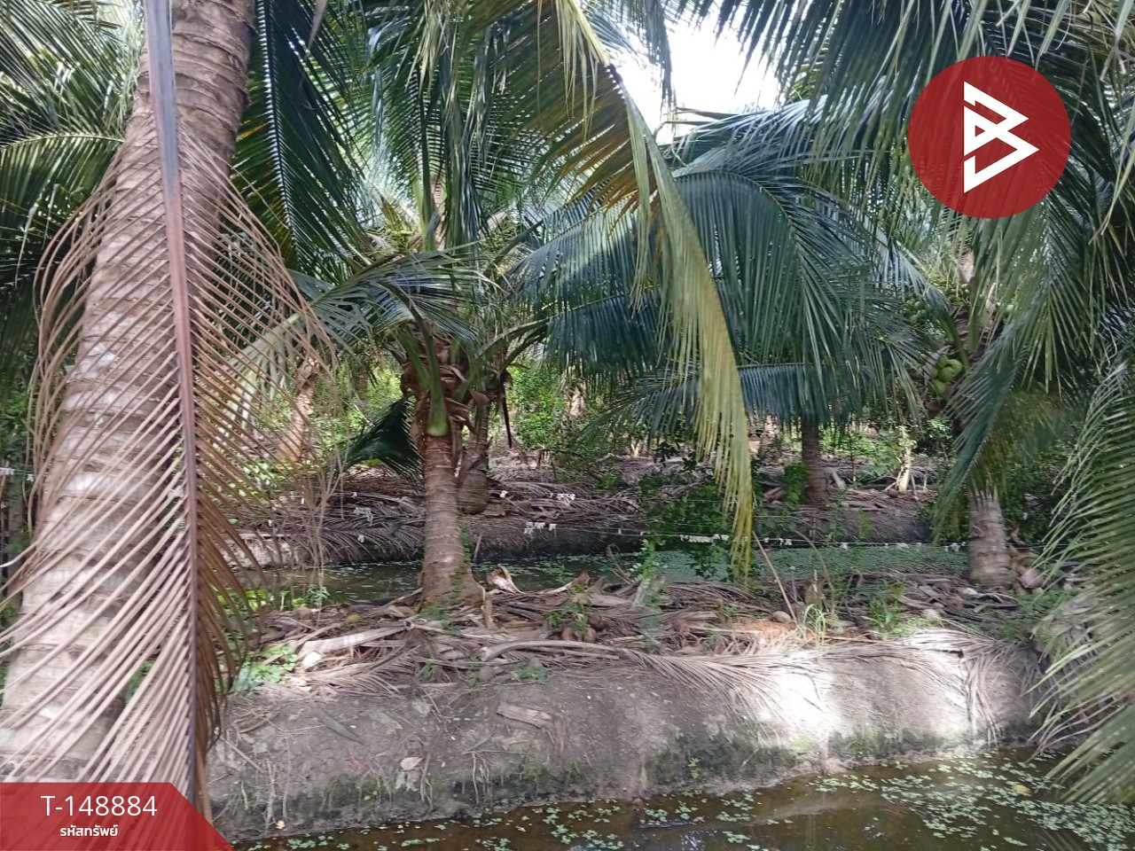 Empty land for sale, area 6 rai, Sam Phran, Nakhon Pathom. – รูปที่ 4