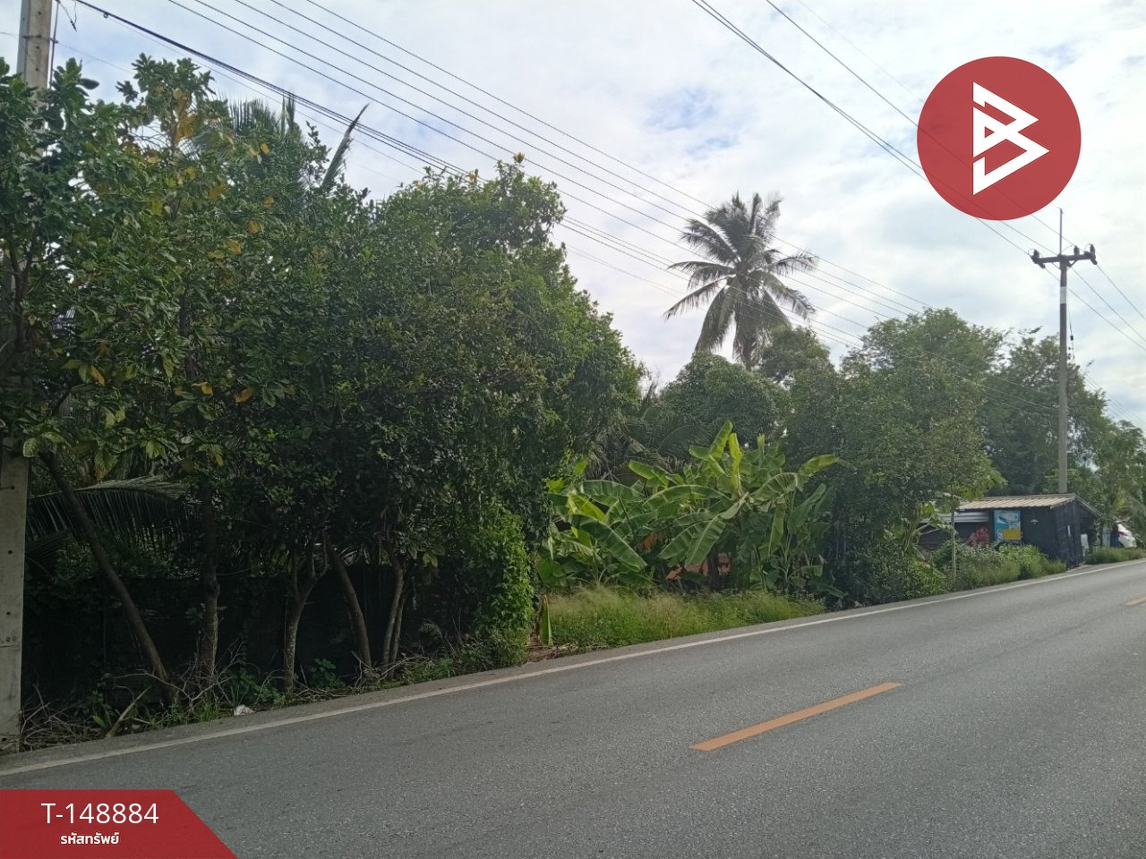 Empty land for sale, area 6 rai, Sam Phran, Nakhon Pathom. – รูปที่ 3