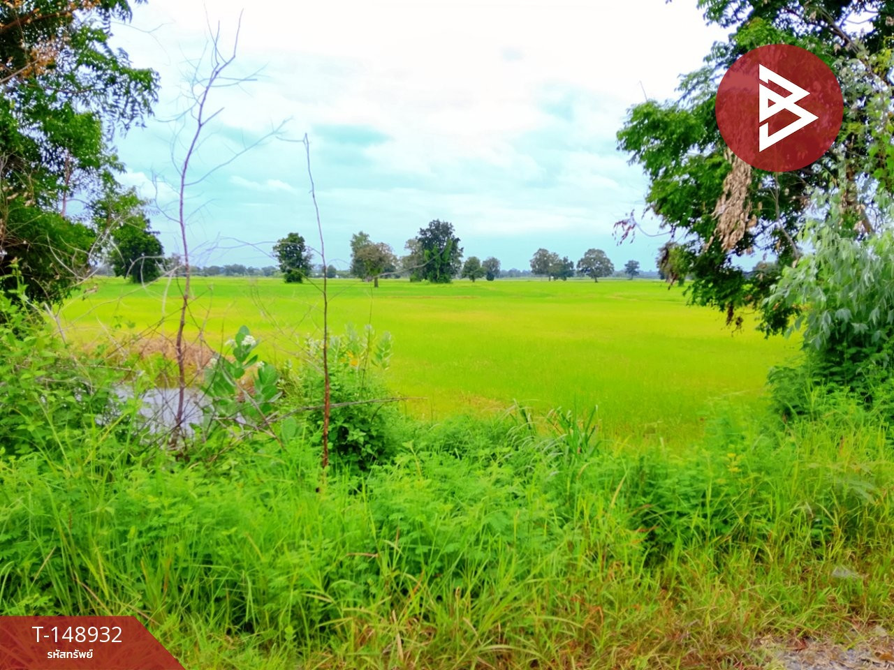 Land for sale, area 2 rai 86 square wah, Ka Ko, Surin. – รูปที่ 2
