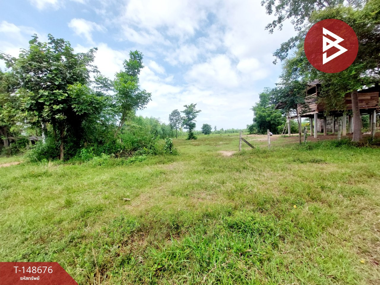 Land for sale, area 24 rai 24 sq m, Phon Phisai, Nong Khai.
