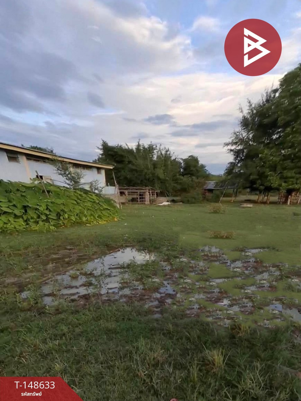 ขายที่ดิน เนื้อที่ 1 งาน 3.1 ตร.วา เหมืองจี้ ลำพูน – รูปที่ 2