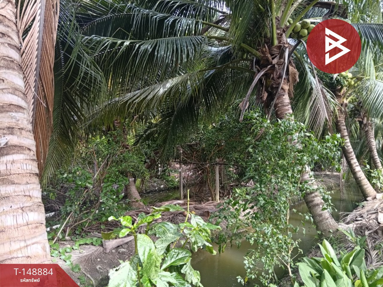Empty land for sale, area 6 rai, Sam Phran, Nakhon Pathom. – รูปที่ 2