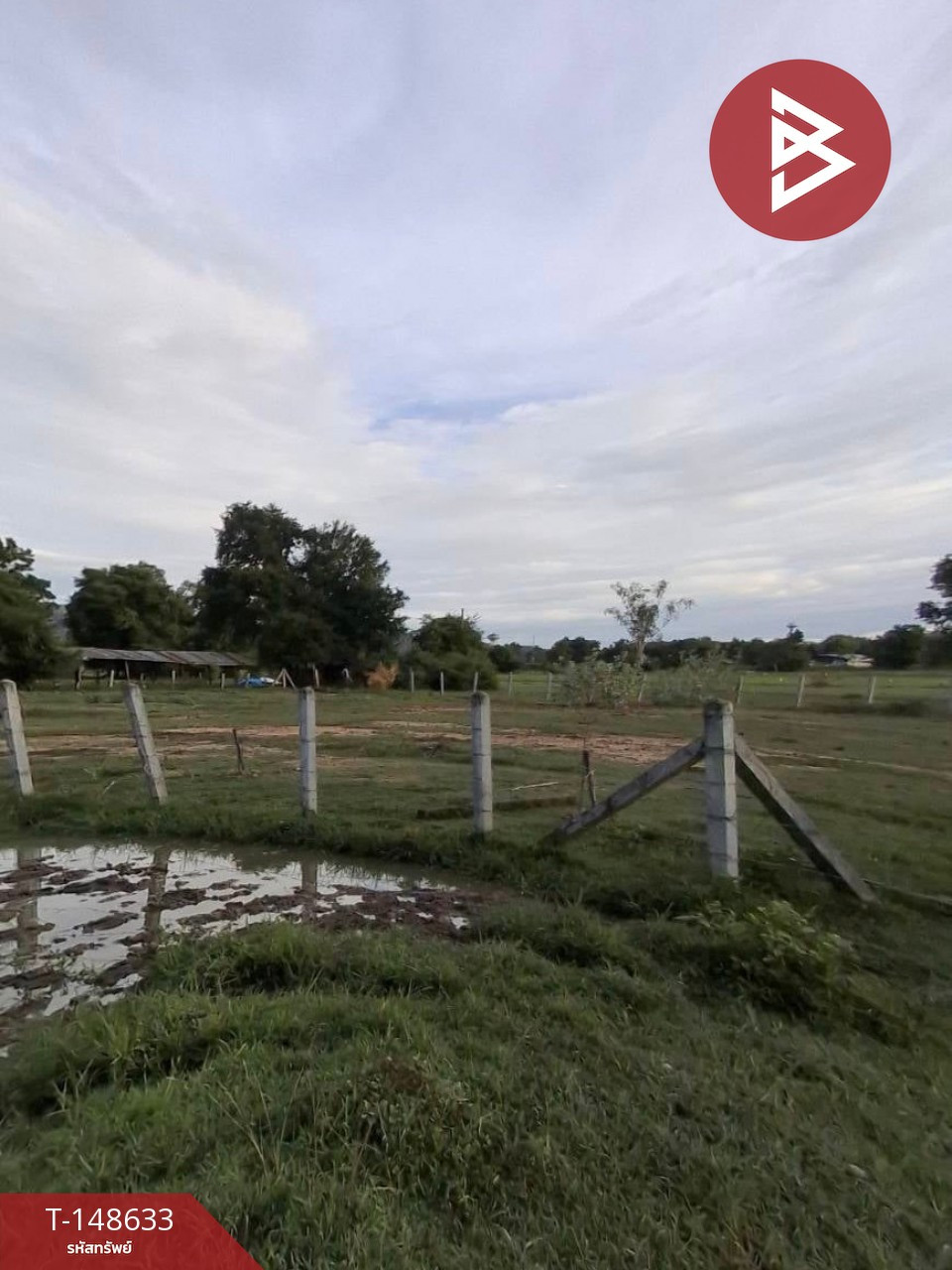 ขายที่ดิน เนื้อที่ 1 งาน 3.1 ตร.วา เหมืองจี้ ลำพูน – รูปที่ 3