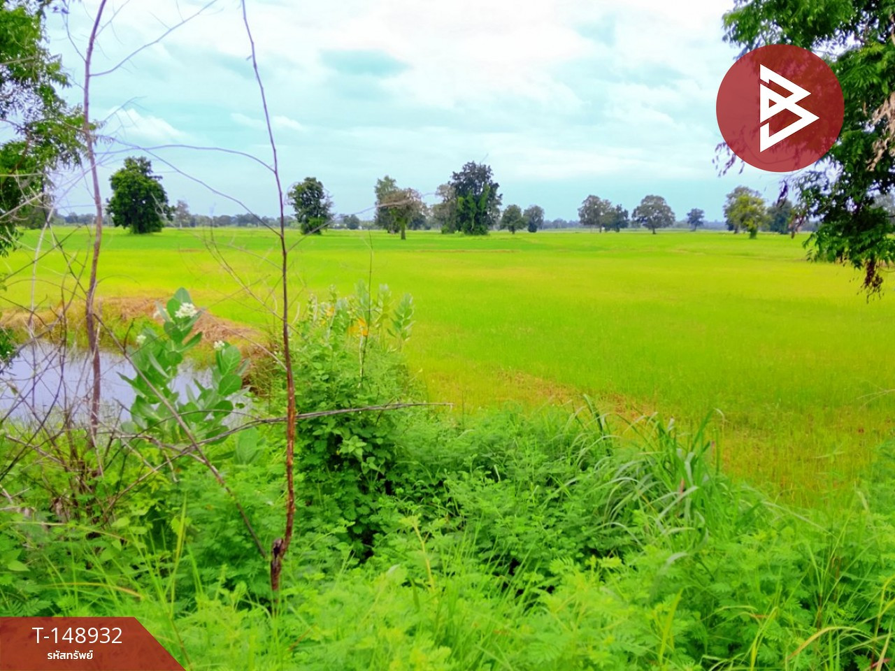 Land for sale, area 2 rai 86 square wah, Ka Ko, Surin. – รูปที่ 3