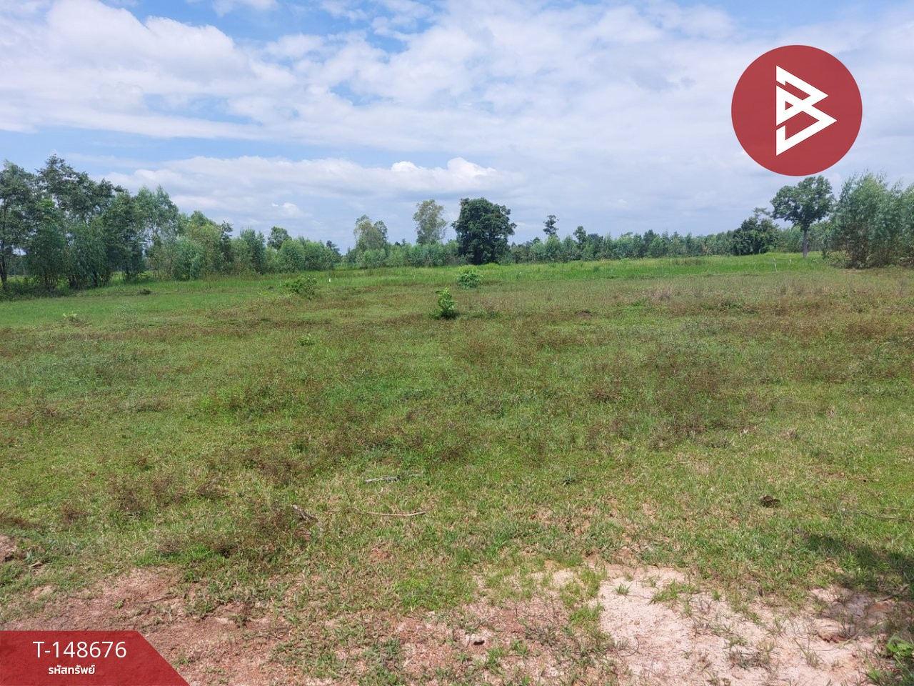 ขายที่ดิน เนื้อที่ 24 ไร่ 24 ตร.วา โพนพิสัย หนองคาย – รูปที่ 3