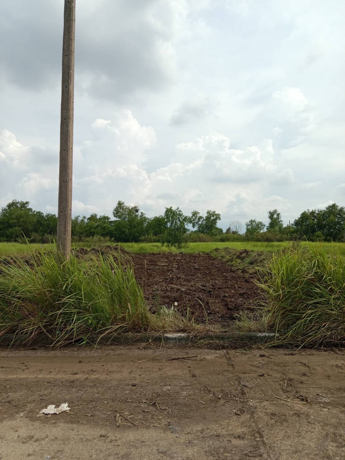 Land for sale, 2 adjacent plots, 263 sq m, Khlong 4, Khlong Luang, next to a concrete road, not yet filled in, price negotiable. – รูปที่ 3