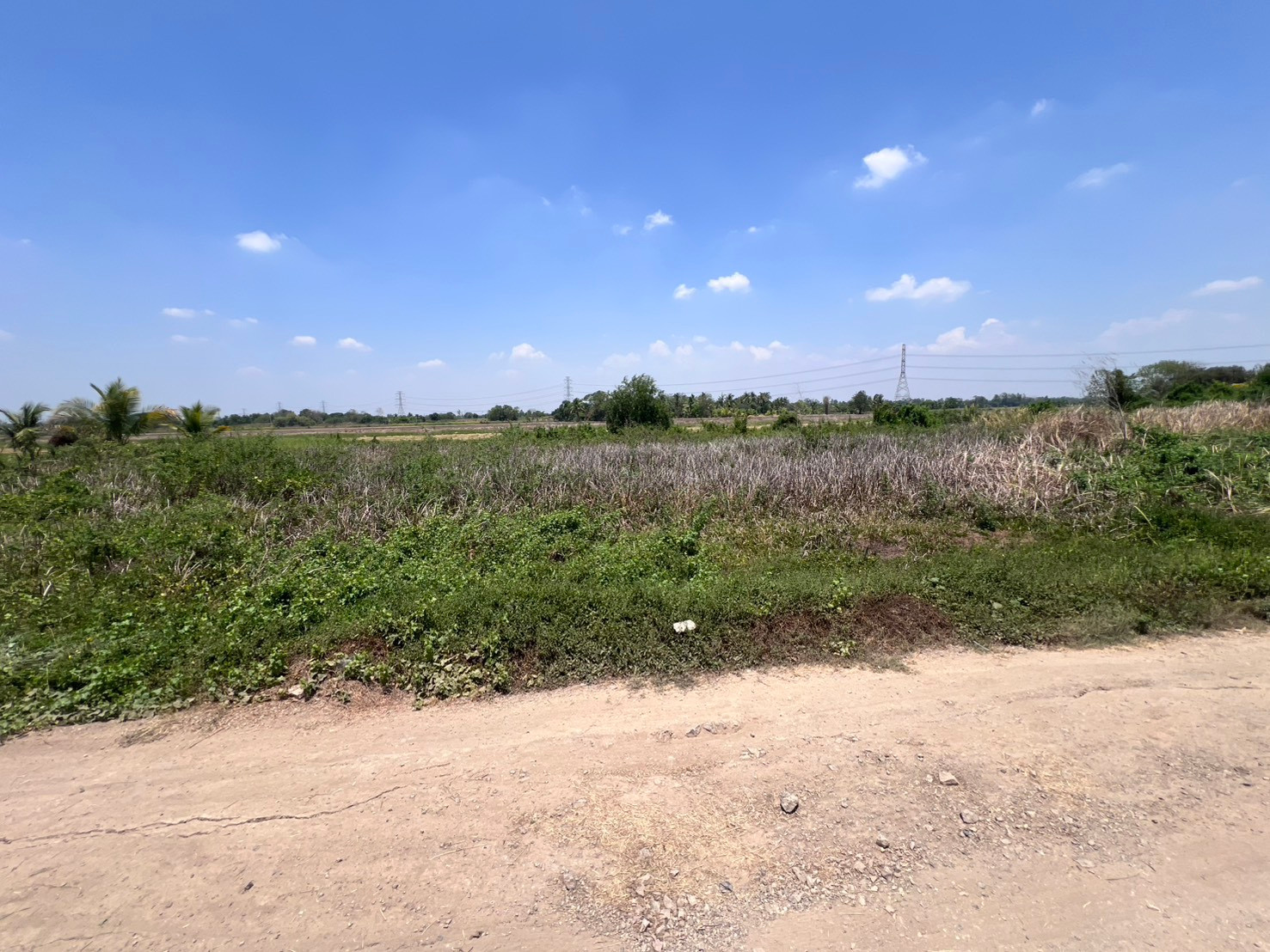 BL28 ขาย ที่ดิน คลองสิบสอง หนองจอก #ที่ดินเปล่ายังไม่ถม #ที่ดินริมถนนในซอยคลองจักร11 #ที่ดินหนองจอก – รูปที่ 2