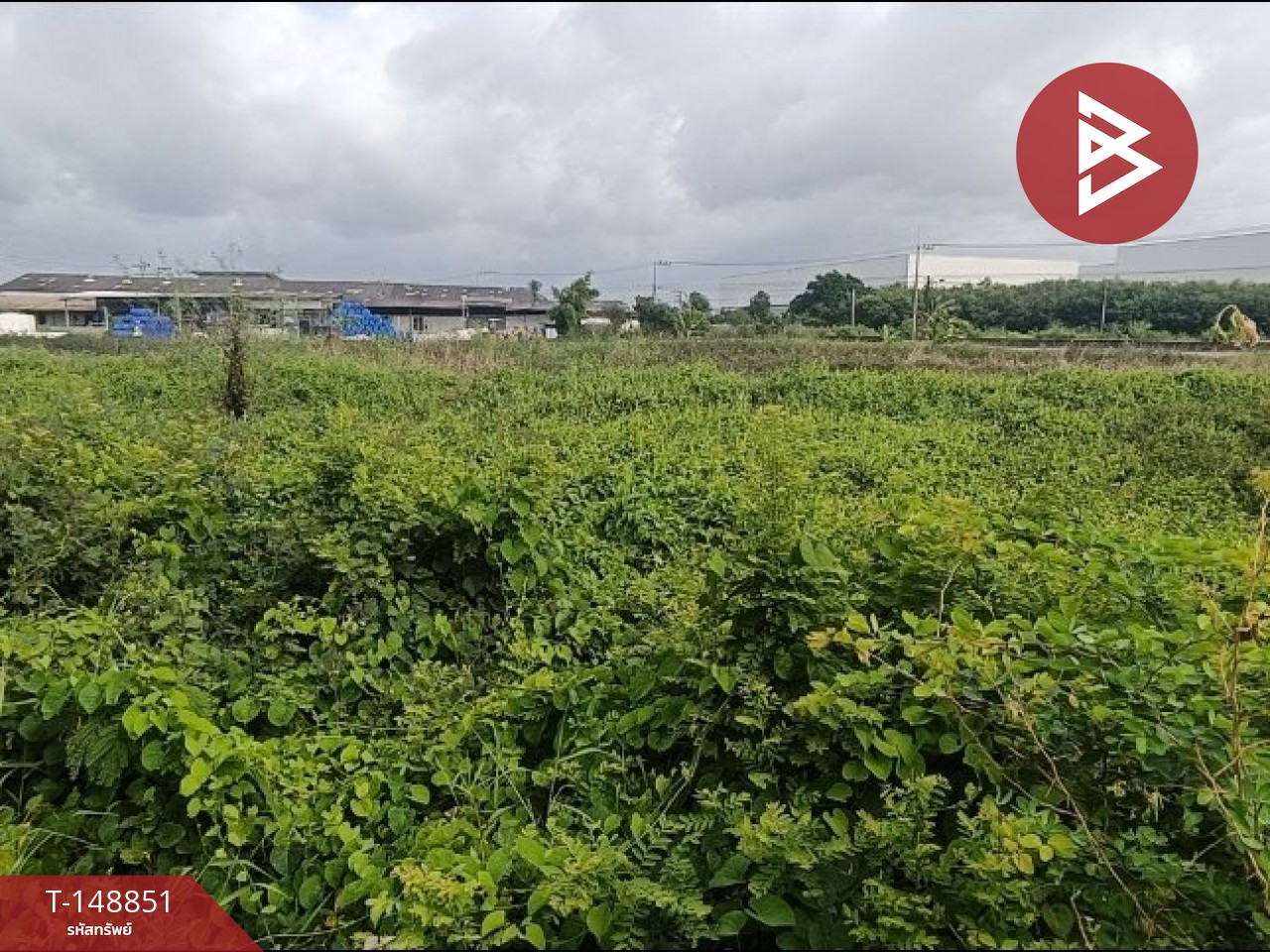 ขายที่ดิน เนื้อที่ 89.5 ตร.วา คลองเปรง ฉะเชิงเทรา – รูปที่ 4