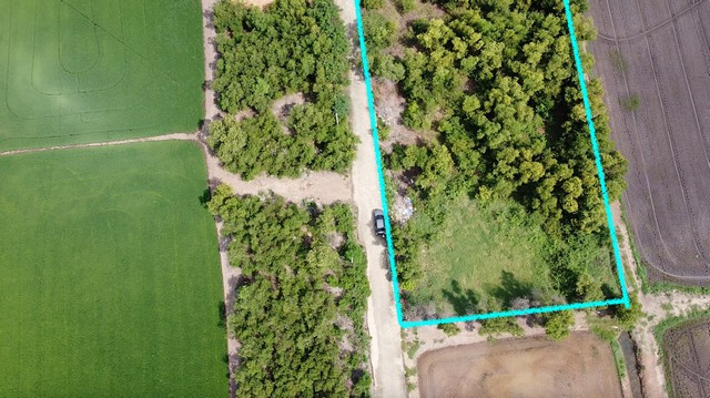 Land for sale in Wang Noi, Ayutthaya (1 rai and 4 rai), green city plan. Next to the concrete road, Soi Wangchula 8, near Phahon Yothin, good location, suitable for building a warehouse, office, house, cheapest price in the area! – รูปที่ 3
