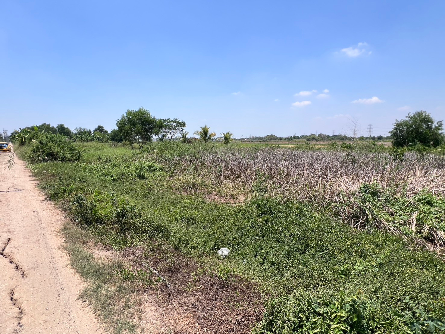 BL28 ขาย ที่ดิน คลองสิบสอง หนองจอก #ที่ดินเปล่ายังไม่ถม #ที่ดินริมถนนในซอยคลองจักร11 #ที่ดินหนองจอก – รูปที่ 4