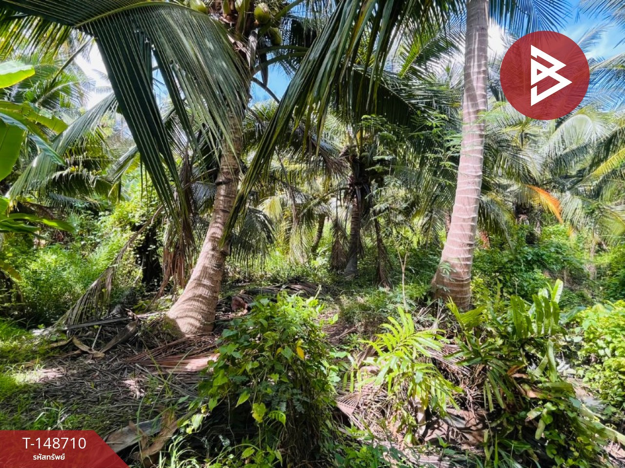 Land for sale, area 4 rai 1 ngan 44 sq m, Bang Khan Taek, Samut Songkhram – รูปที่ 2