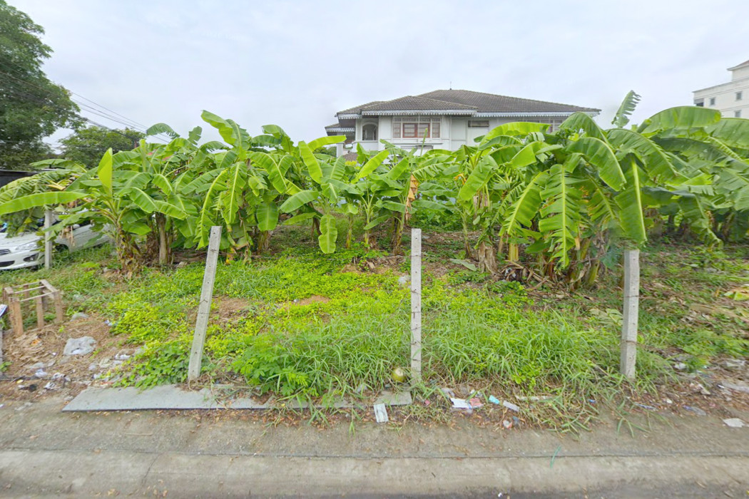 Land for sale, Soi Bearing 58, size 100 sq m., near Sri Bearing BTS station, 1.7 km. DD – รูปที่ 3