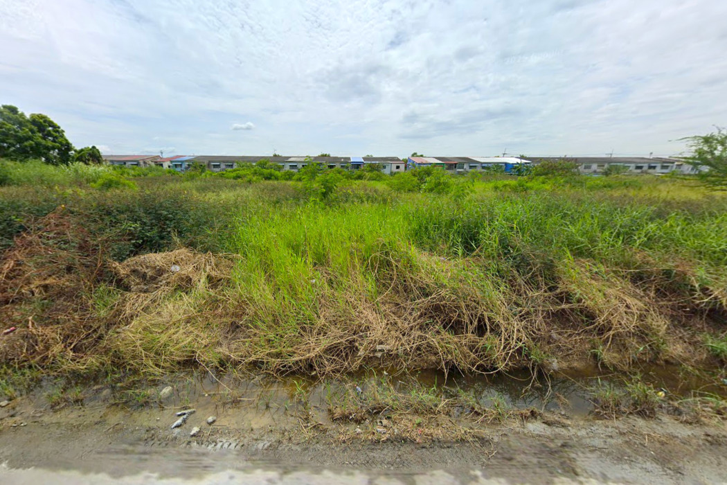 ขาย ที่ดิน ผังสีชมพู ซอย รังสิต-นครนายก 49 ขนาด 21 ไร่ ใกล้ถ.รังสิต-นครนายก แค่ 650 ม. – รูปที่ 3