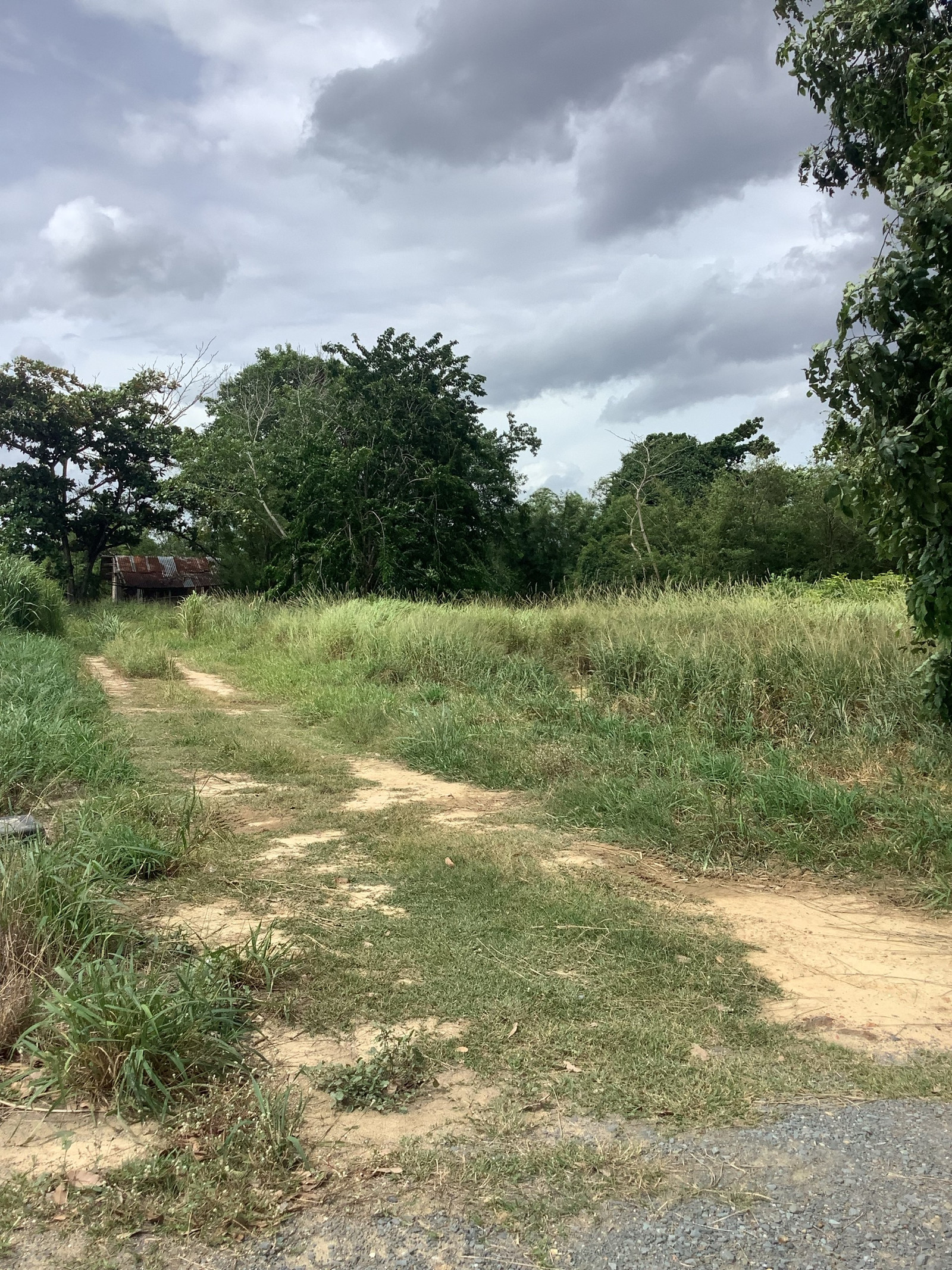 🌿Large piece of land for sale, Bo Nok Subdistrict, Mueang Prachuap Khiri Khan District, area 35 rai 88 square wah. – รูปที่ 2