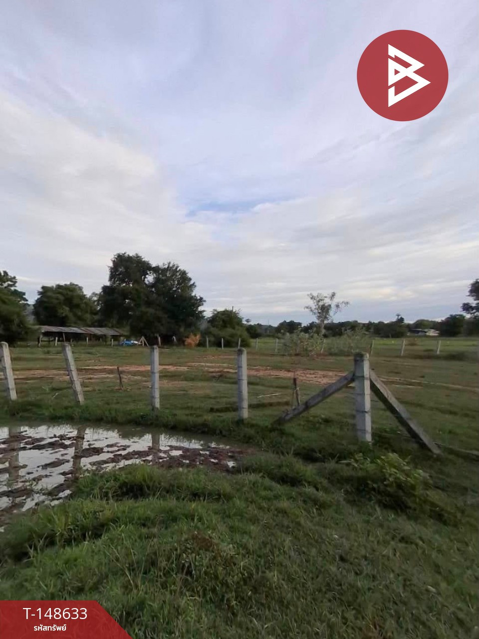 ขายที่ดิน เนื้อที่ 1 งาน 3.1 ตร.วา เหมืองจี้ ลำพูน – รูปที่ 4