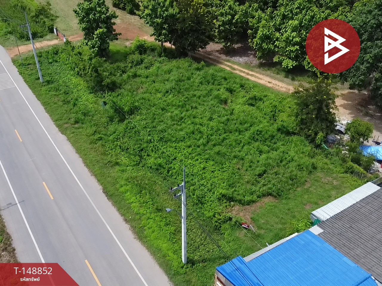 Land for sale, area 1 ngan 55 square wah, Kluai Phae, Lampang. Land for sale, area 1 ngan 55 square wah, Kluai Phae, Lampang.
