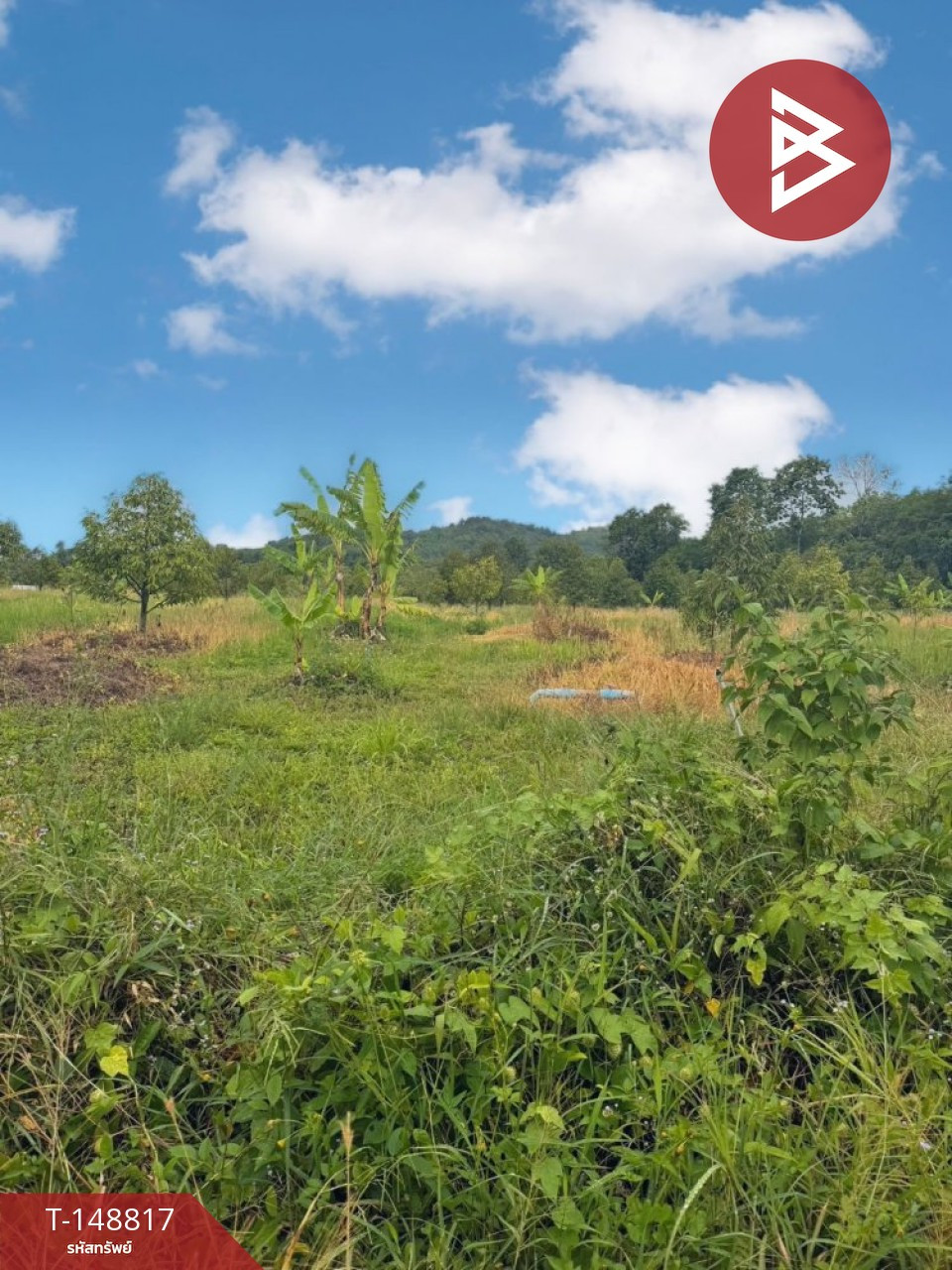 ขายที่ดิน เนื้อที่ 46 ไร่ 1 งาน 5 ตร.วา สอยดาว จันทบุรี – รูปที่ 3
