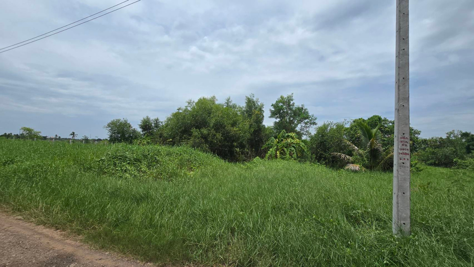 Empty land for sale, 2 rai 1 ngan 81.9 sq m, Khusalod Subdistrict, Lat Bua Luang District, Ayutthaya Province. – รูปที่ 4