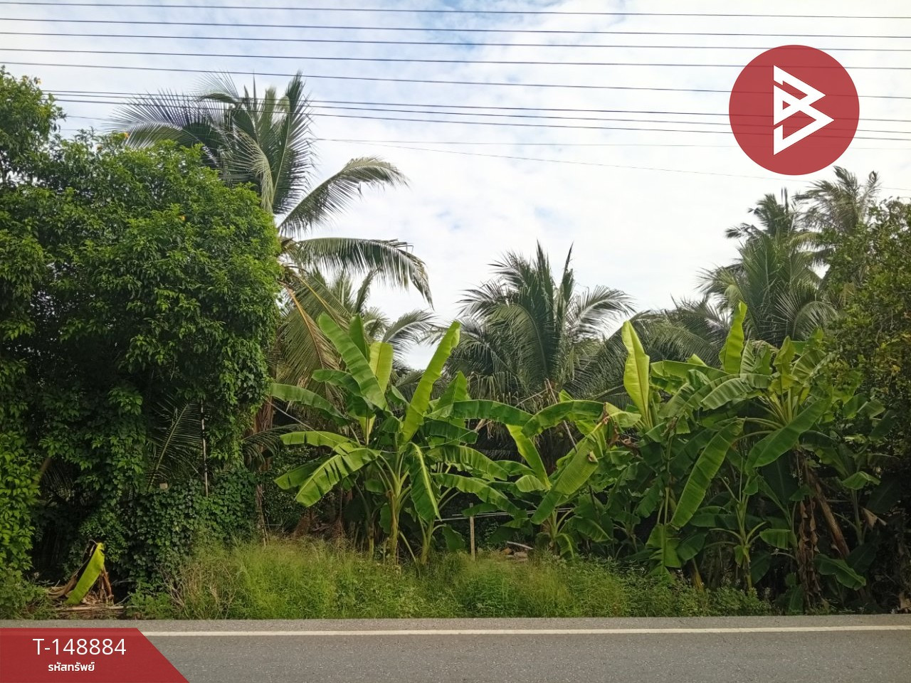 Empty land for sale, area 6 rai, Sam Phran, Nakhon Pathom. Empty land for sale, area 6 rai, Sam Phran, Nakhon Pathom.
