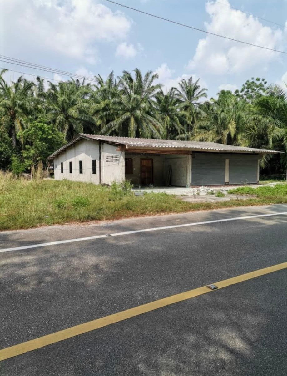 Palm plantation land for sale with house, good location, Ao Luek District, Krabi Province. – รูปที่ 2