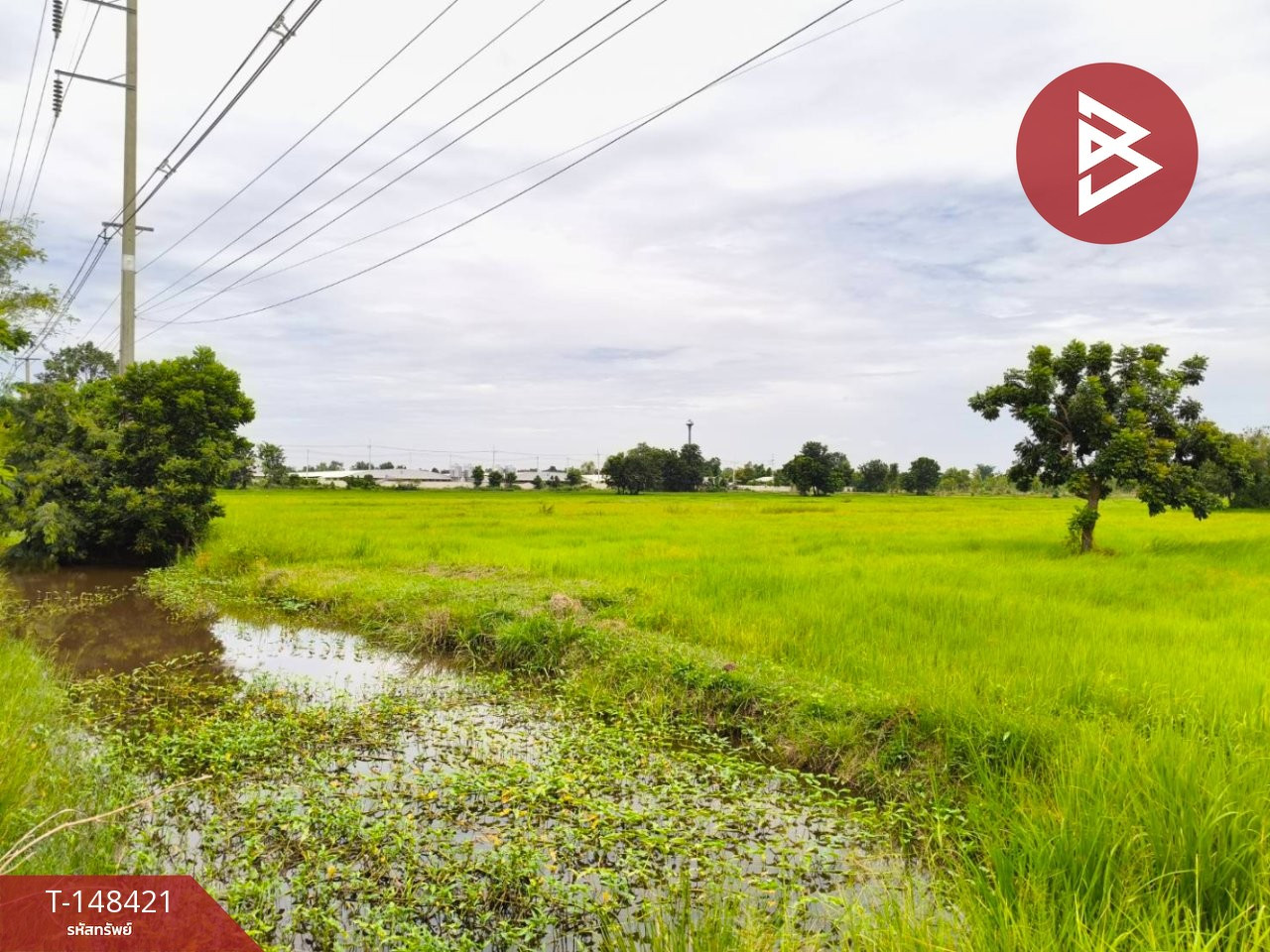 ขายที่ดิน เนื้อที่ 22 ไร่ 1 งาน 69 ตร.วา ประโคนชัย บุรีรัมย์ – รูปที่ 4