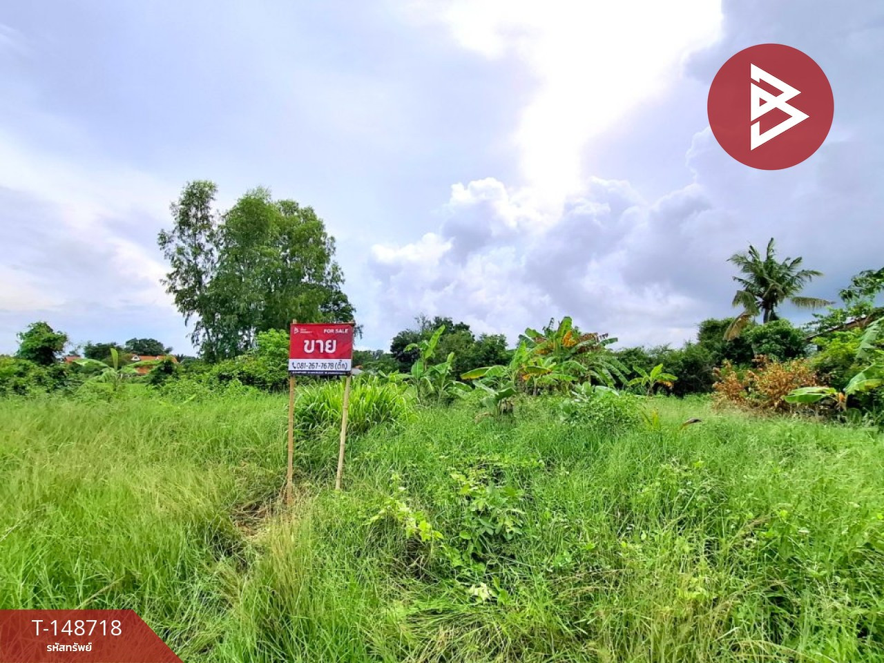 Land for sale, area 1 ngan 99.4 square wah, Rop Mueang Subdistrict, Roi Et. – รูปที่ 2