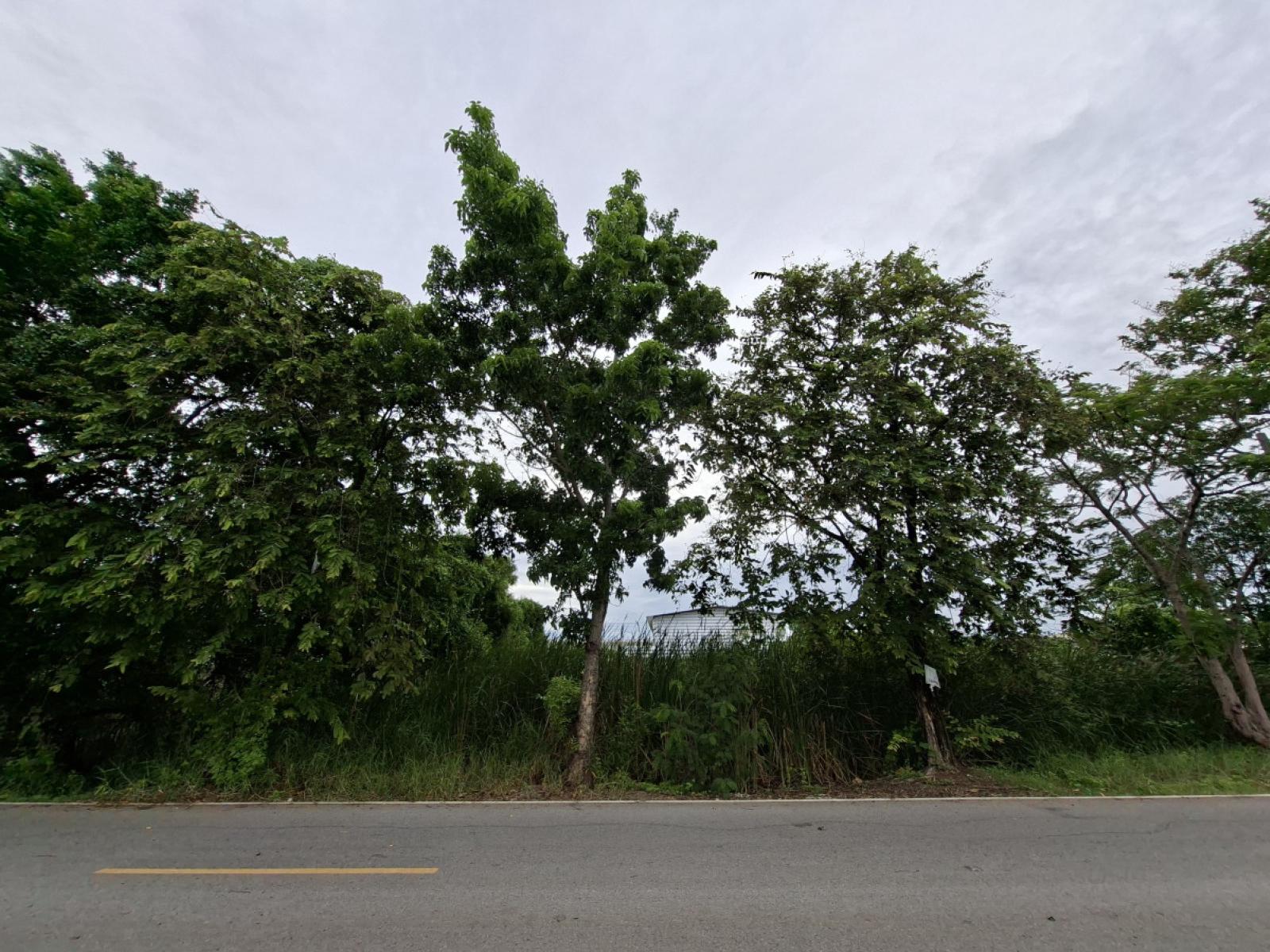 For Sale Vacant land in Lat Lum Kaeo , Khu Bang Luang , Lat Lum Kaeo , Pathum Thani , CX-171409 For Sale Vacant land in Lat Lum Kaeo , Khu Bang Luang , Lat Lum Kaeo , Pathum Thani , CX-171409