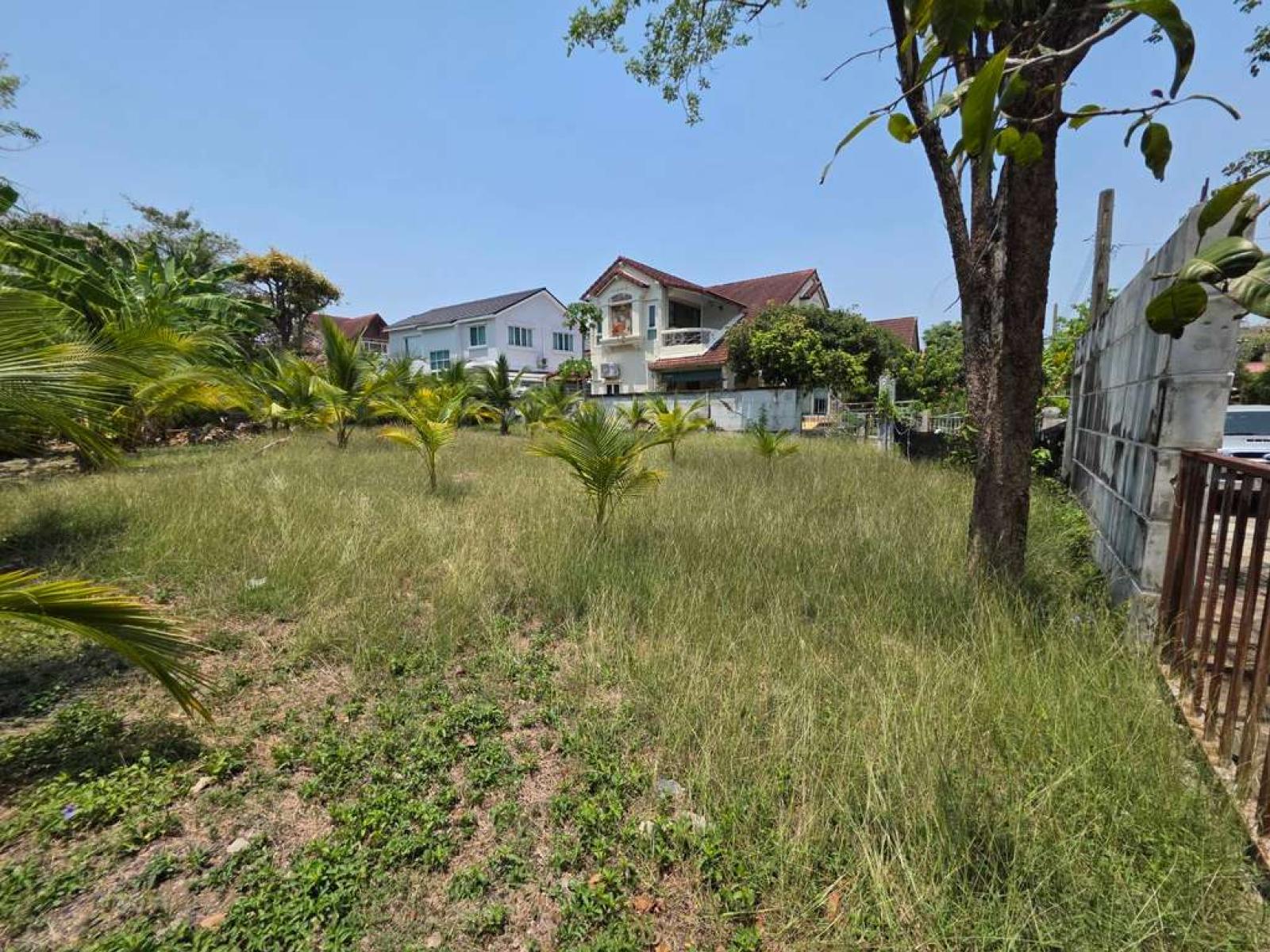 Ladawan - Srinakarin / 118 Square Wa (FOR SALE) DA226