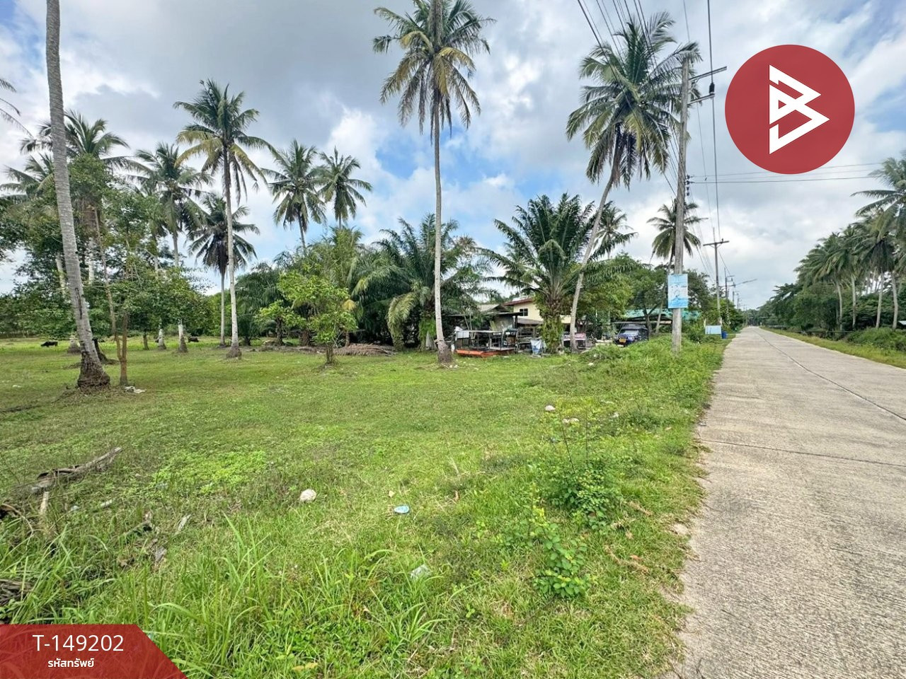 Large plot of land for sale, area 4 rai 3 ngan 95.3 square wah, Tha Ngio, Nakhon Si Thammarat. Behind Vajiravudh Camp Large plot of land for sale, area 4 rai 3 ngan 95.3 square wah, Tha Ngio, Nakhon Si Thammarat. Behind Vajiravudh Camp