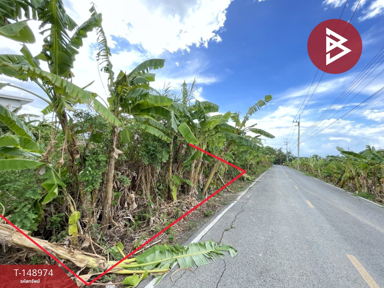 Land for sale, area 92 sq m, Salaya Road 5/8, Phutthamonthon, Nakhon Pathom – รูปที่ 4