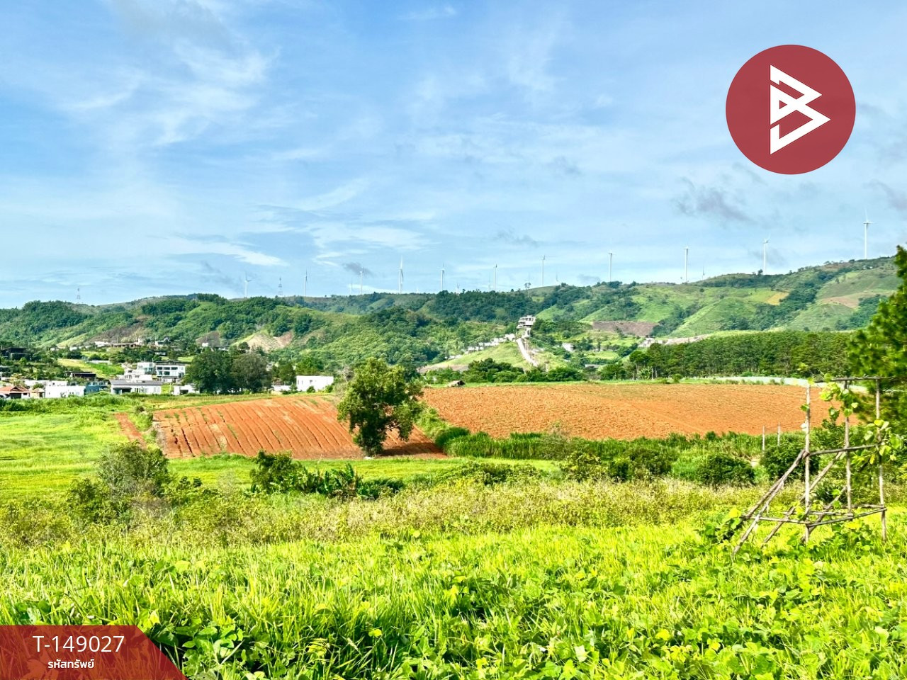 Land for sale, area 5 rai 3 ngan 51 sq m, Khao Kho, Phetchabun. – รูปที่ 3