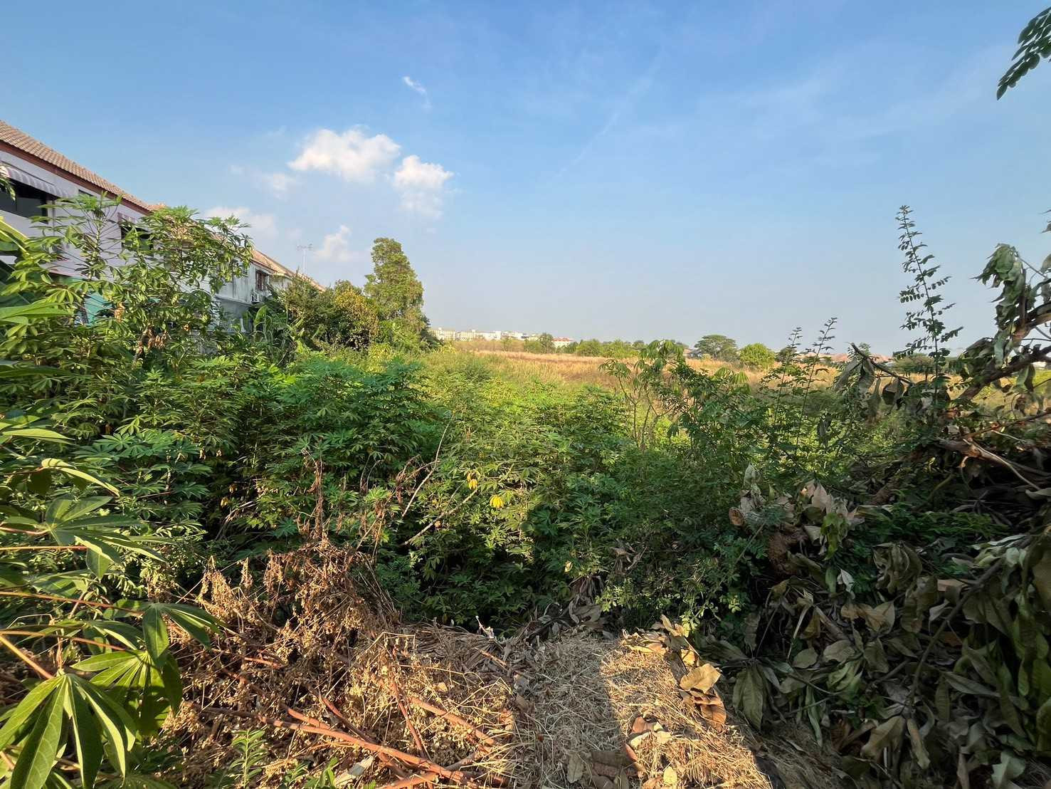 [For Sale] Beautiful plot of land, 10 rai, prime location, pink city plan, Rojana - Khan Ham Road, Uthai District, Ayutthaya. – รูปที่ 4