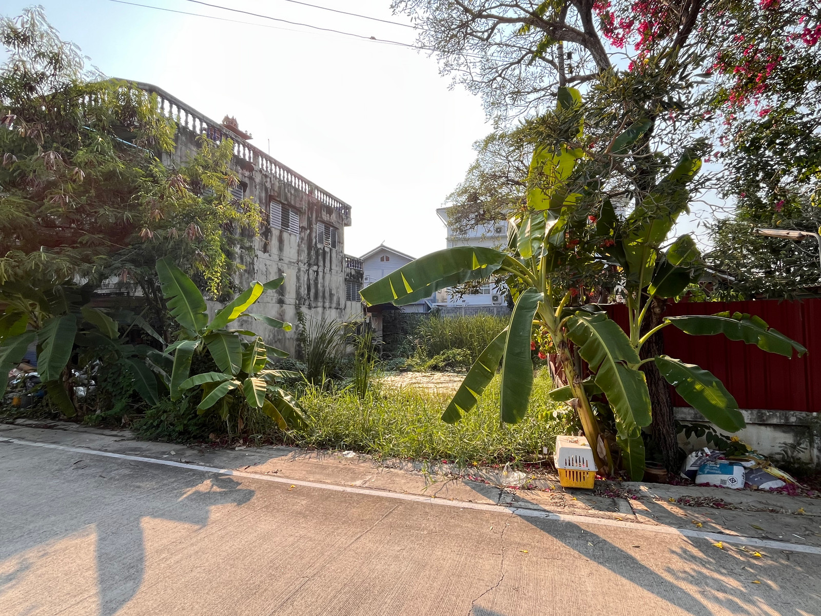 !!! Urgent sale!!! Land, good location, Soi Num Prasong 2, size 75 sq m, near Mahidol University / Central Salaya. – รูปที่ 4