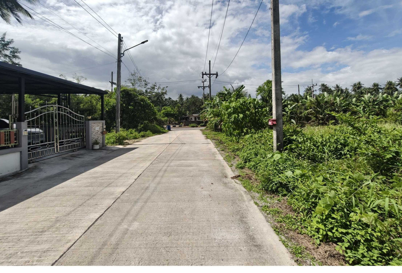 Empty land behind PTT gas station, Wat Pradu, Surat Thani. – รูปที่ 4