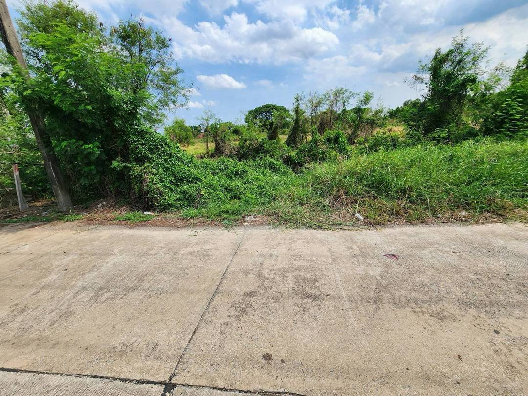🌾Vายที่ดิน 2แปลงๆละ 480ตรว.และ 589ตรว.⛳️ติดถนนซอย สุวินทวงศ์ ด้านหลังติดคลอง ต.คลองอุดมชลจร อ.เมือง ฉะเชิงเทรา 24000 ใกล้ตลาดปองพล 🌾Vายที่ดิน 2แปลงๆละ 480ตรว.และ 589ตรว.⛳️ติดถนนซอย สุวินทวงศ์ ด้านหลังติดคลอง ต.คลองอุดมชลจร อ.เมือง ฉะเชิงเทรา 24000 ใกล้ตลาดปองพล