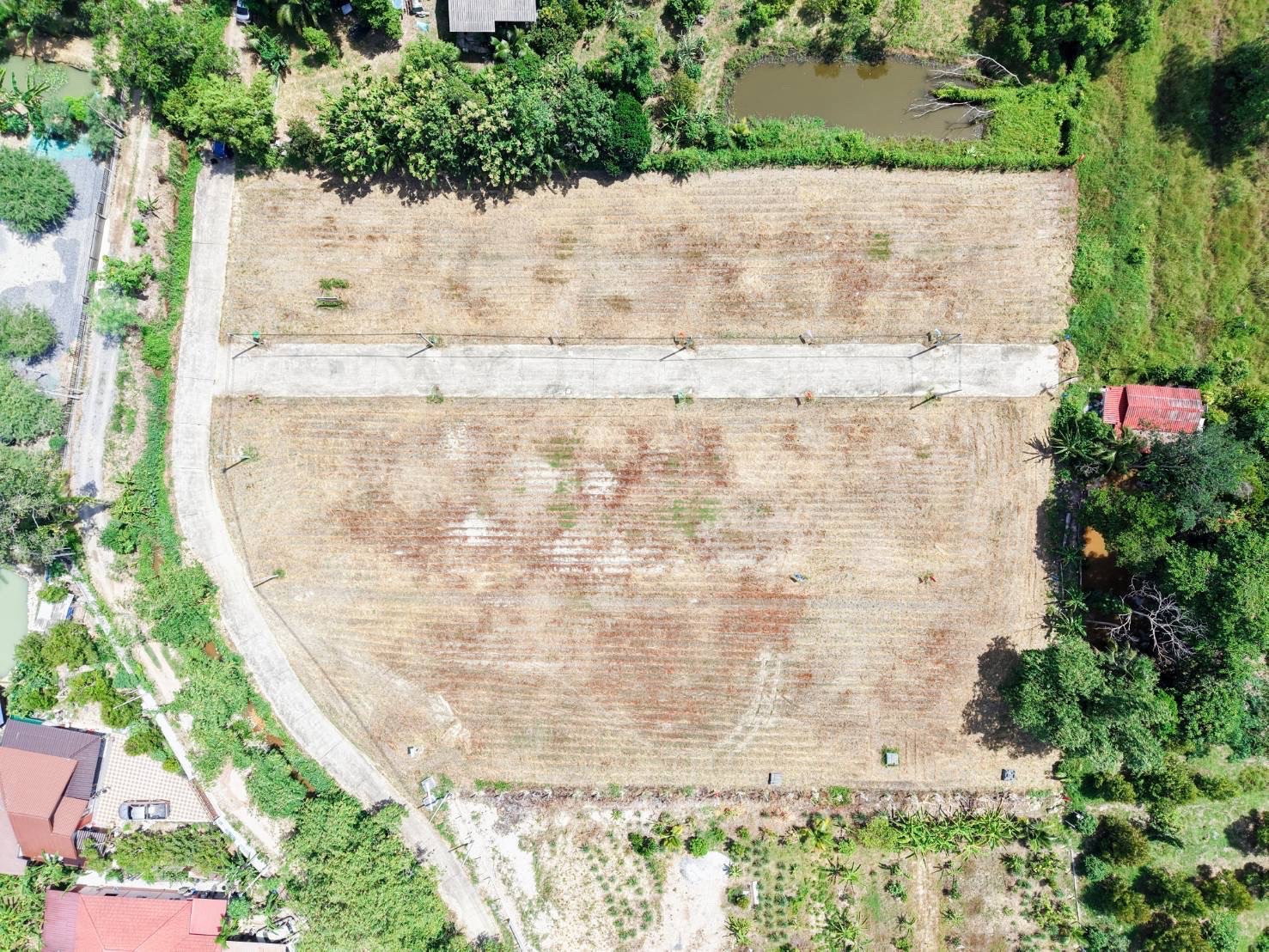 🔥Land for sale in Ta Khan Ban Khai, already filled, next to a concrete road. Near Rayong Municipality – รูปที่ 4