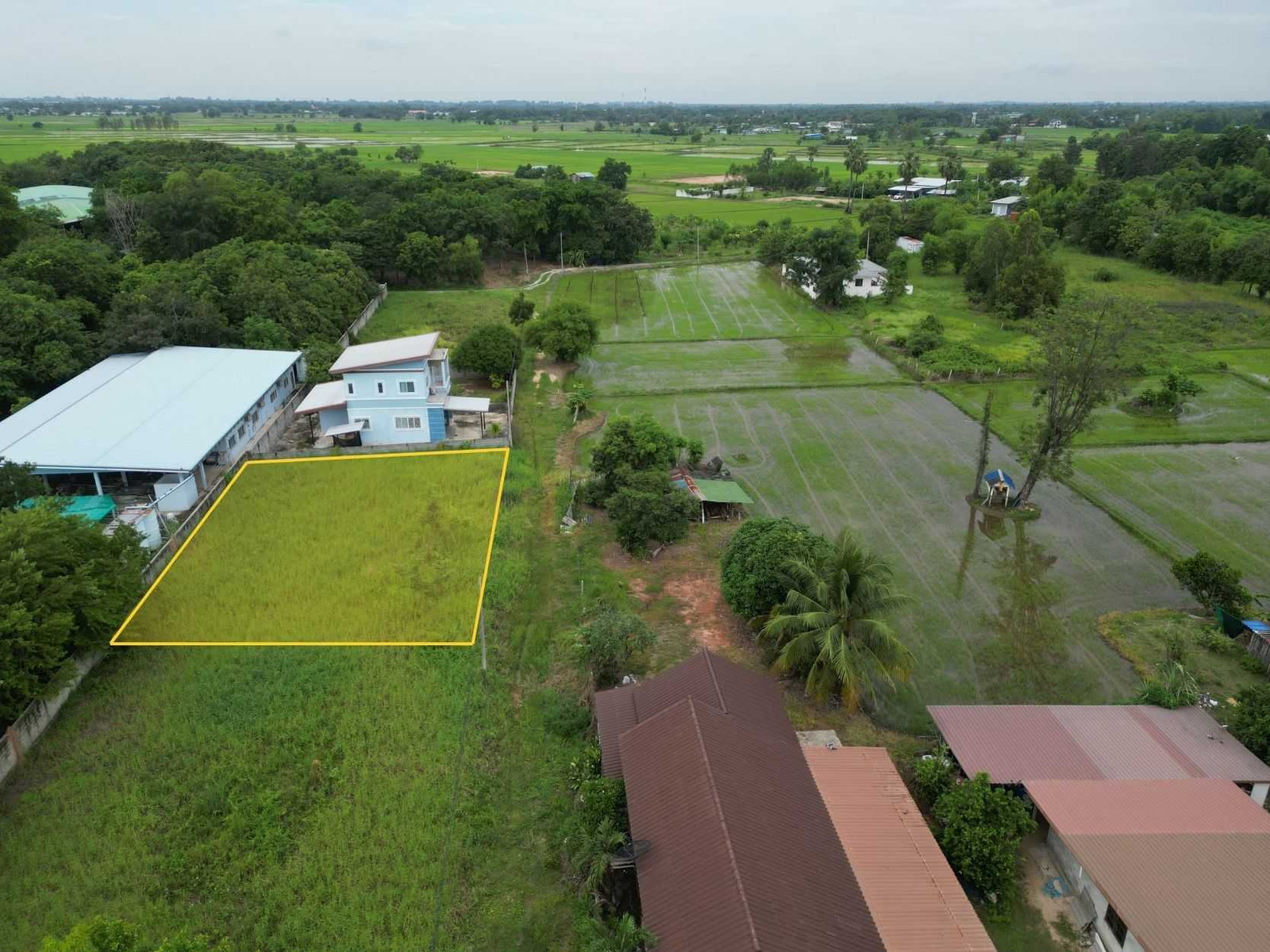 Beautiful vacant land plot Suitable for building a house in Hua Ro location. – รูปที่ 2