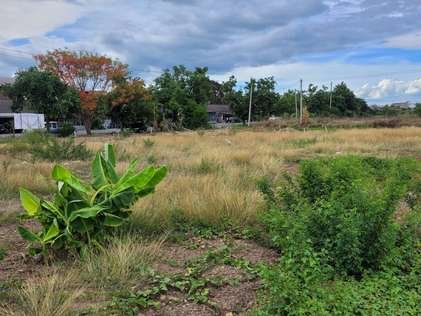 Land for sale in Suphanburi – รูปที่ 2