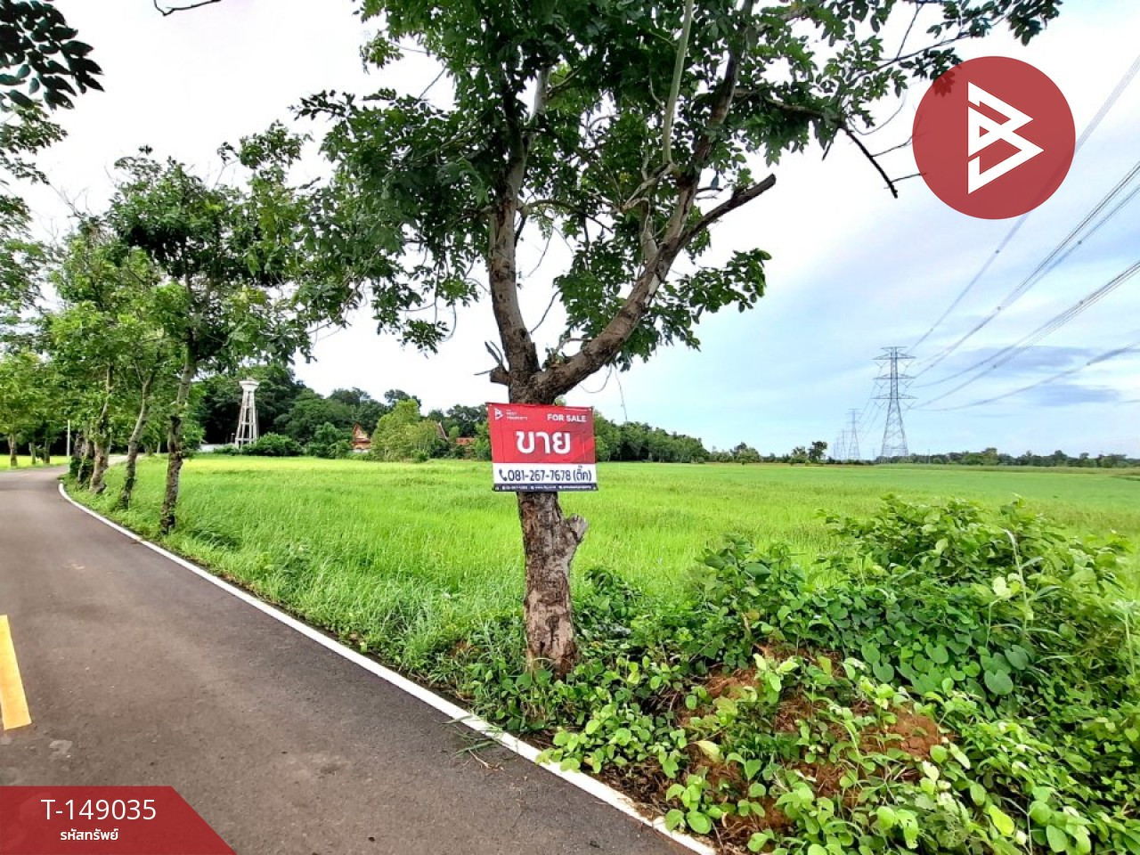 Land for sale, area 6 rai 88 sq m, Changhan, Roi Et. – รูปที่ 3