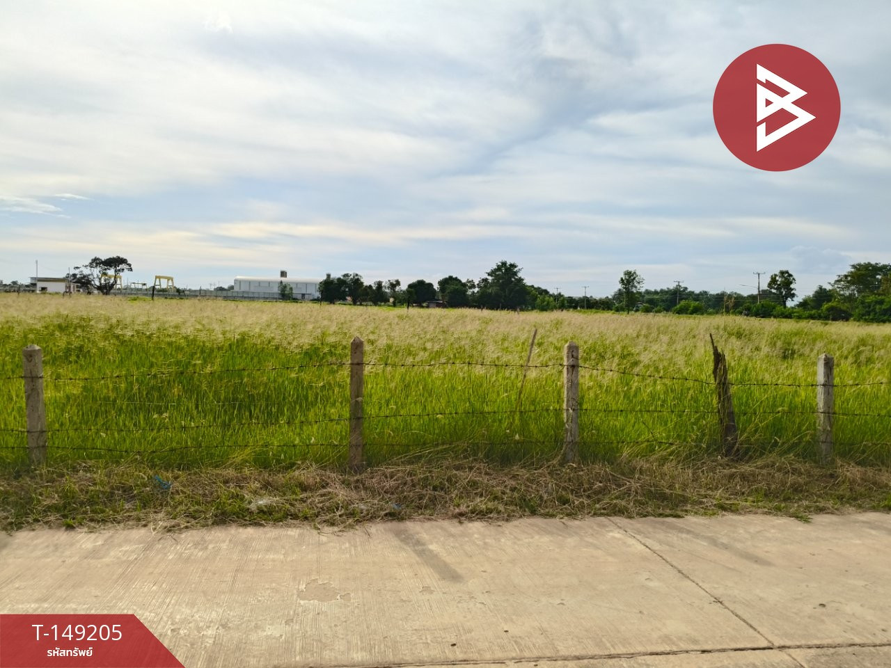 Land for sale, already filled, area 1 ngan 60 sq m, Kae Yai, Surin. – รูปที่ 4