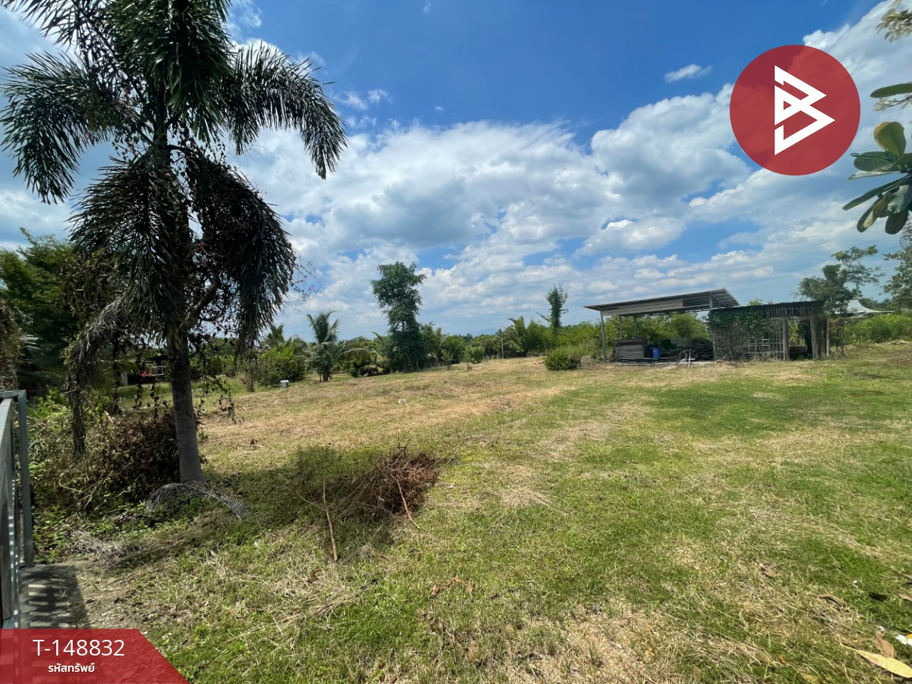 Land for sale, area 5 rai 99.1 square wa, Pa Sang, Lamphun. – รูปที่ 3
