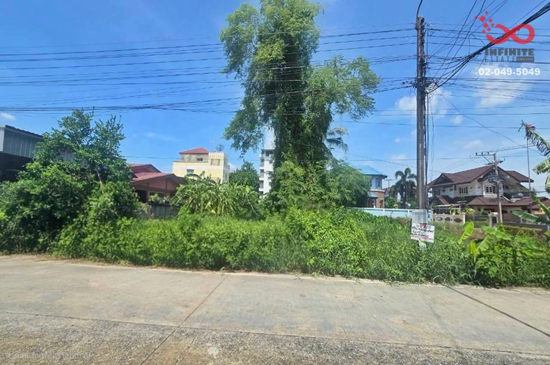 ขายที่ดิน 104 ตร.ว. รังสิต–นครนายก 81 สวนอุสาหะ 4 ธัญบุรี ปทุมธานี  – รูปที่ 2
